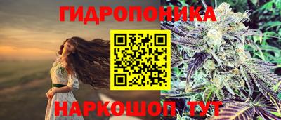 a pvp Гагарин