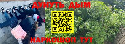 a pvp Гагарин
