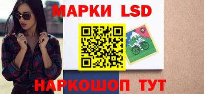 mdpv Гатчина