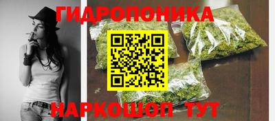 a pvp Гагарин