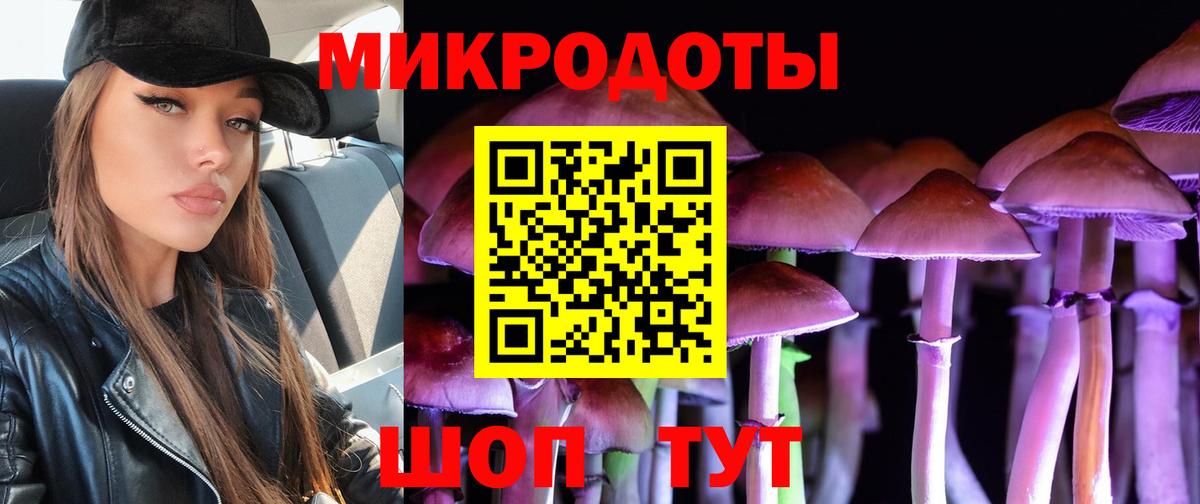 Галлюциногенные грибы Psilocybe  Вход с VPN  продажа наркотиков  Миасс  Галлюциногенные грибы мухоморы 
